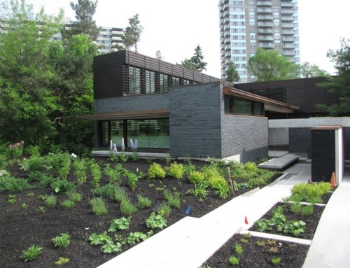 Ultra Modern